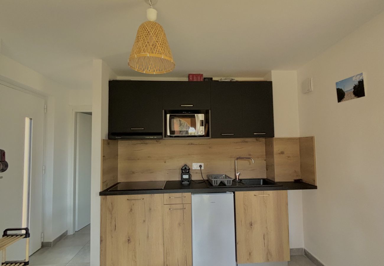 Appartement à Lecci - T2 2/4 Personnes n°95