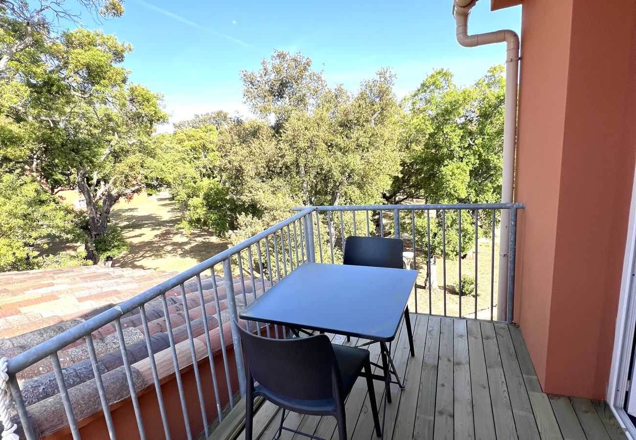 Appartement à Lecci - T2 2/4 Personnes n°93