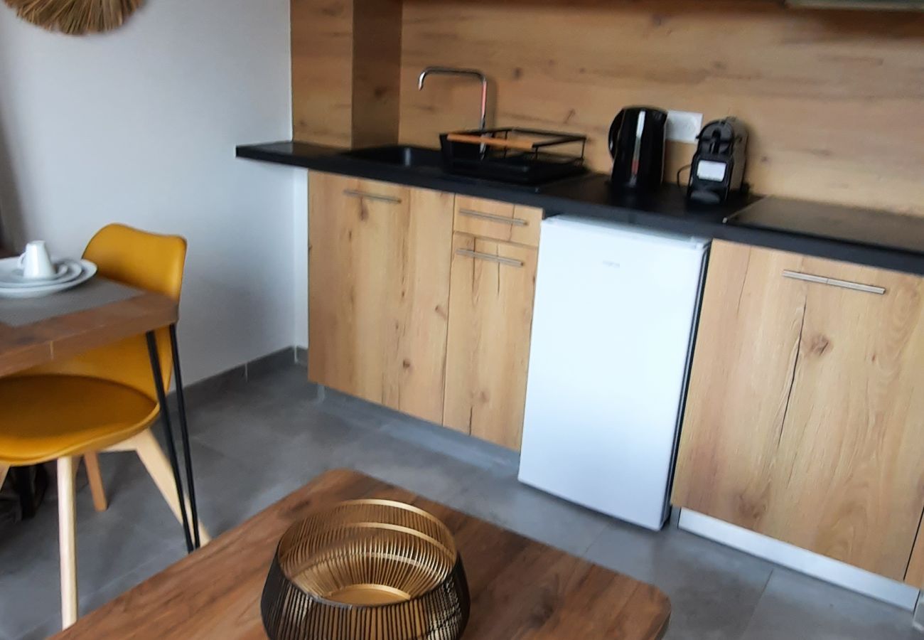 Appartement à Lecci - t2 2/4 Personnes n°143